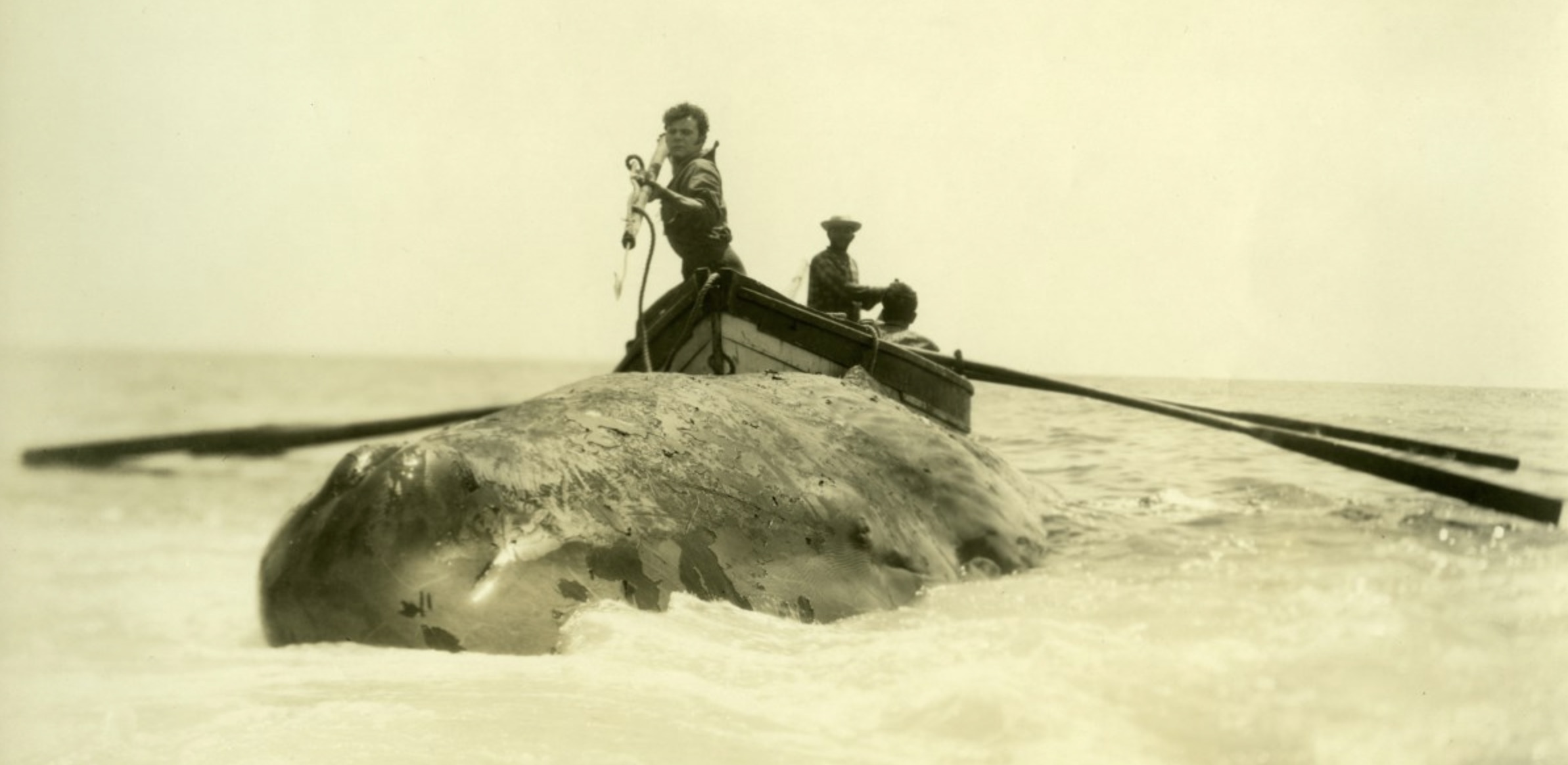 whale hunting 1800s